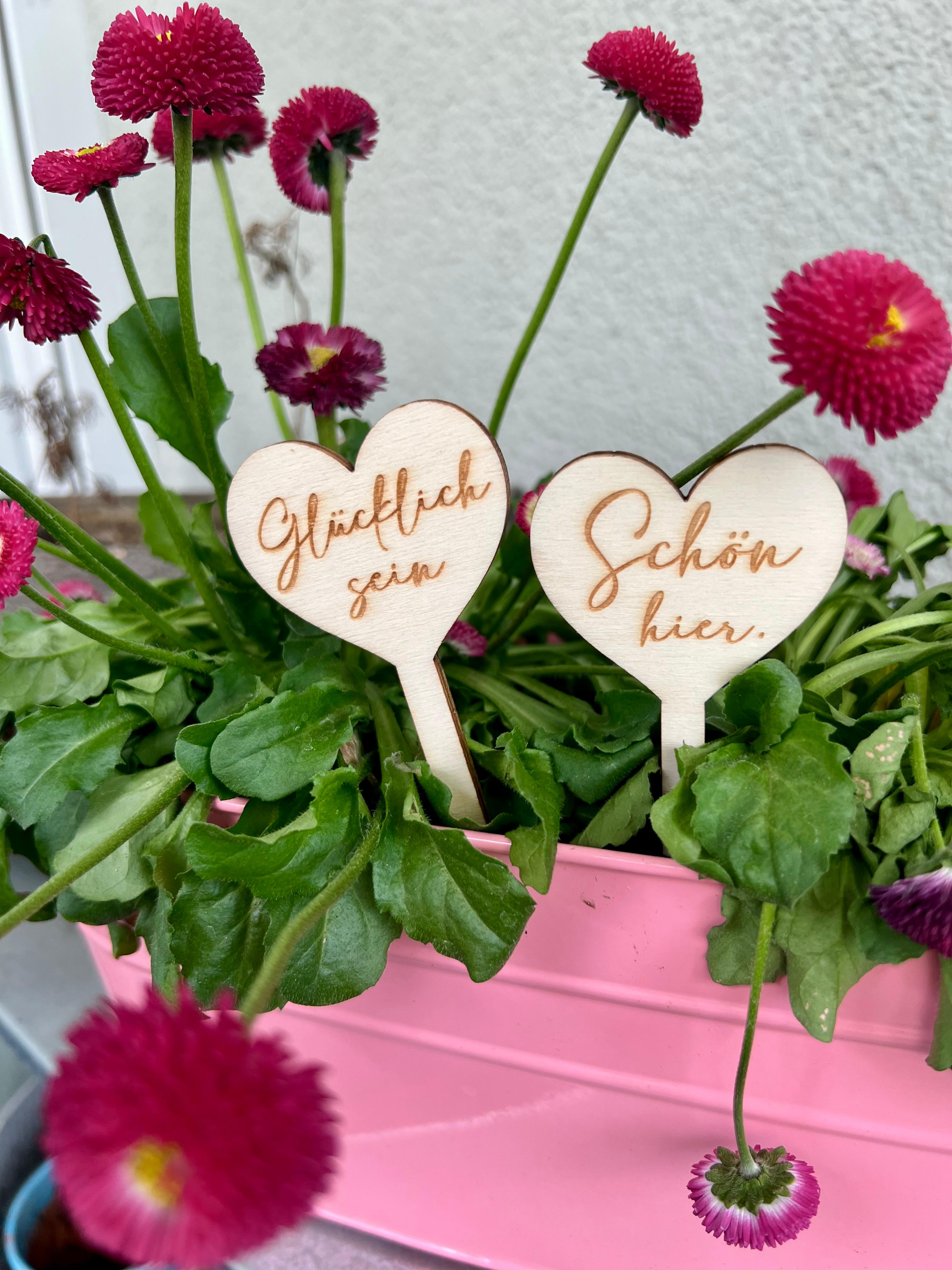 3-Set Pflanzenschilder "Glücklich sein"