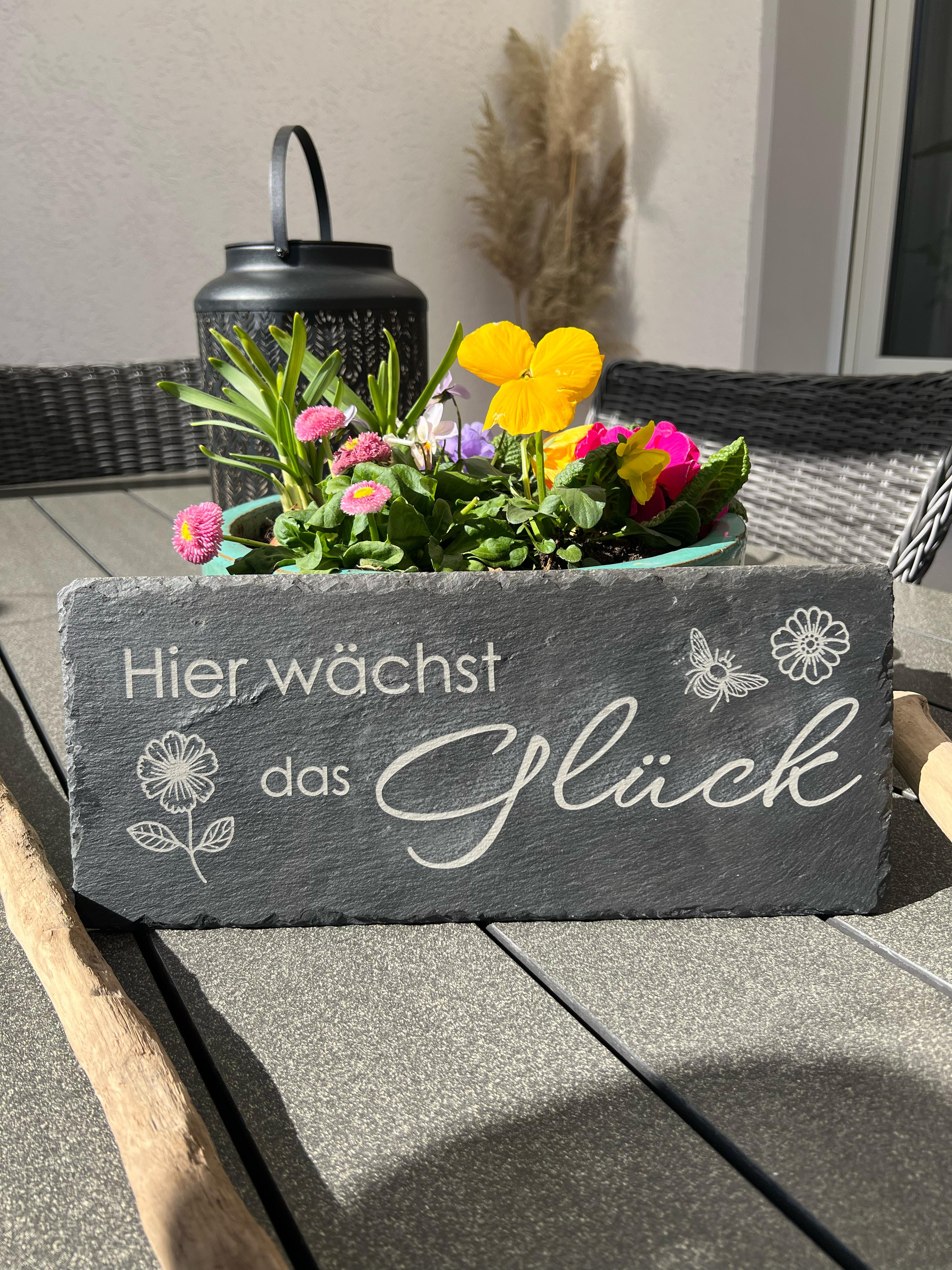 whatsapp-bild-2025-03-19-um-13.55.31_be2c2b36.jpg